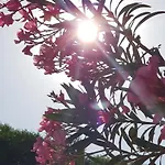 Ciftlik 3* Çeşme