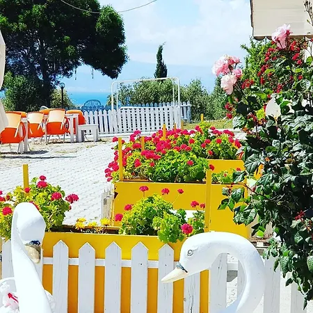 Otel Ciftlik 3*