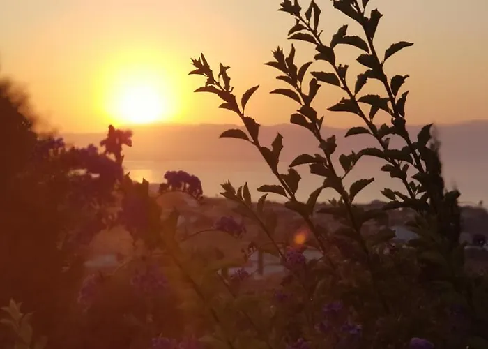 酒店 基弗特里克酒店 3*