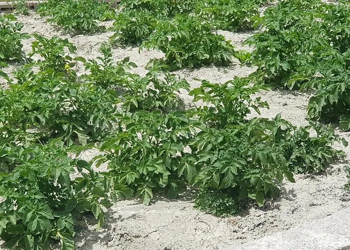 酒店 基弗特里克酒店